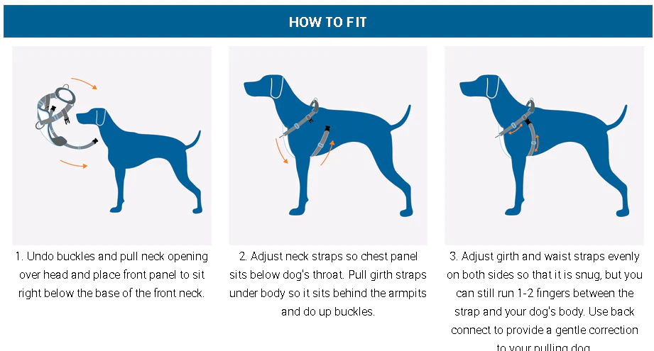 Tempo No Pull Dog Harness - Image 6