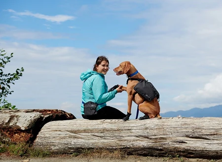 Treat Belt Bag - Image 11