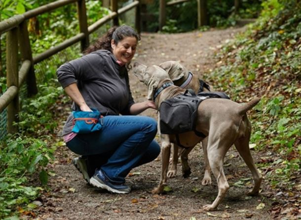 Treat Belt Bag - Image 8