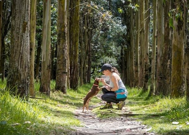 Treat Belt Bag - Image 9
