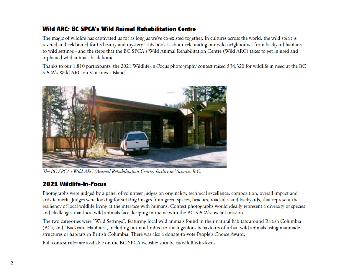 For the Love of Wildlife - Photo Book - Image 11