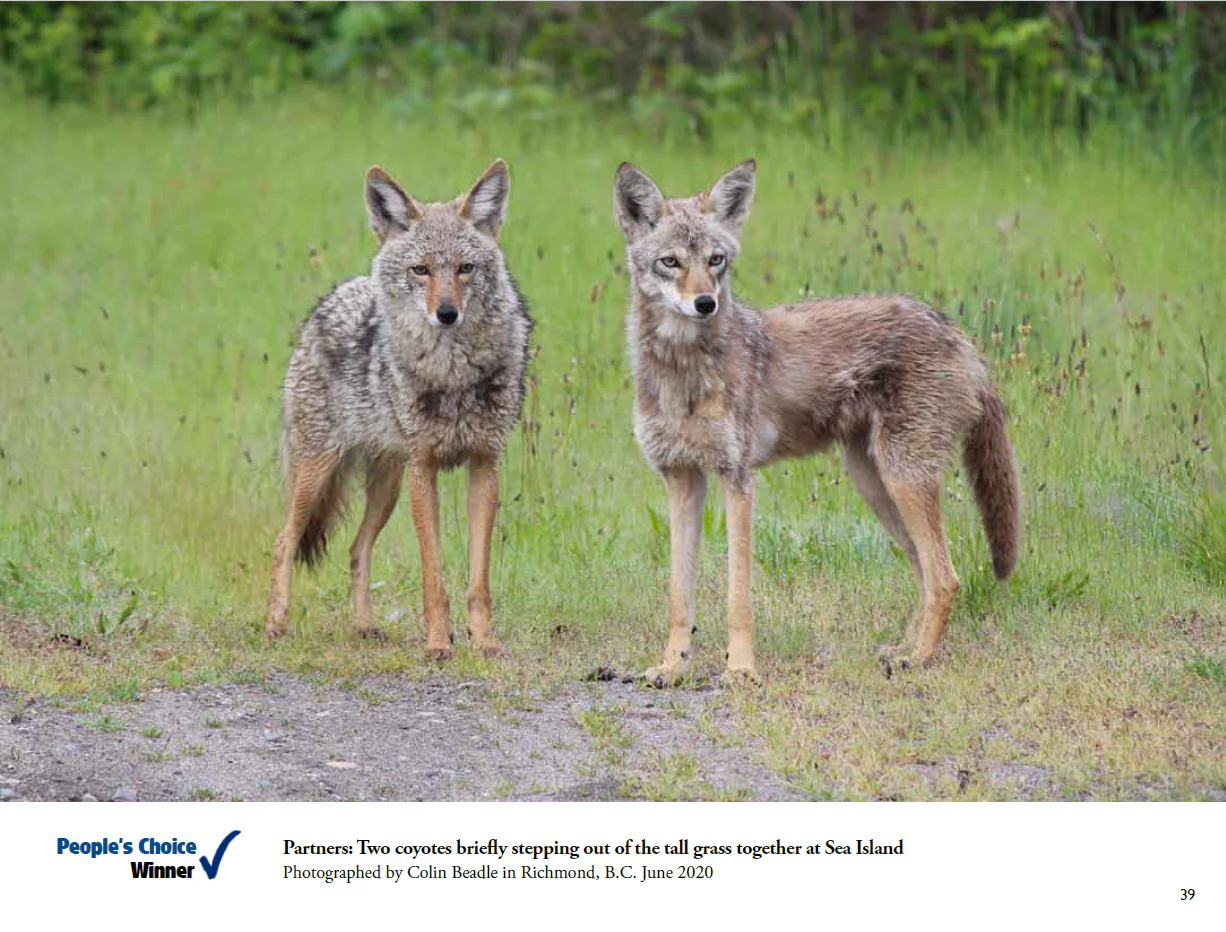 For the Love of Wildlife - Photo Book - Image 4