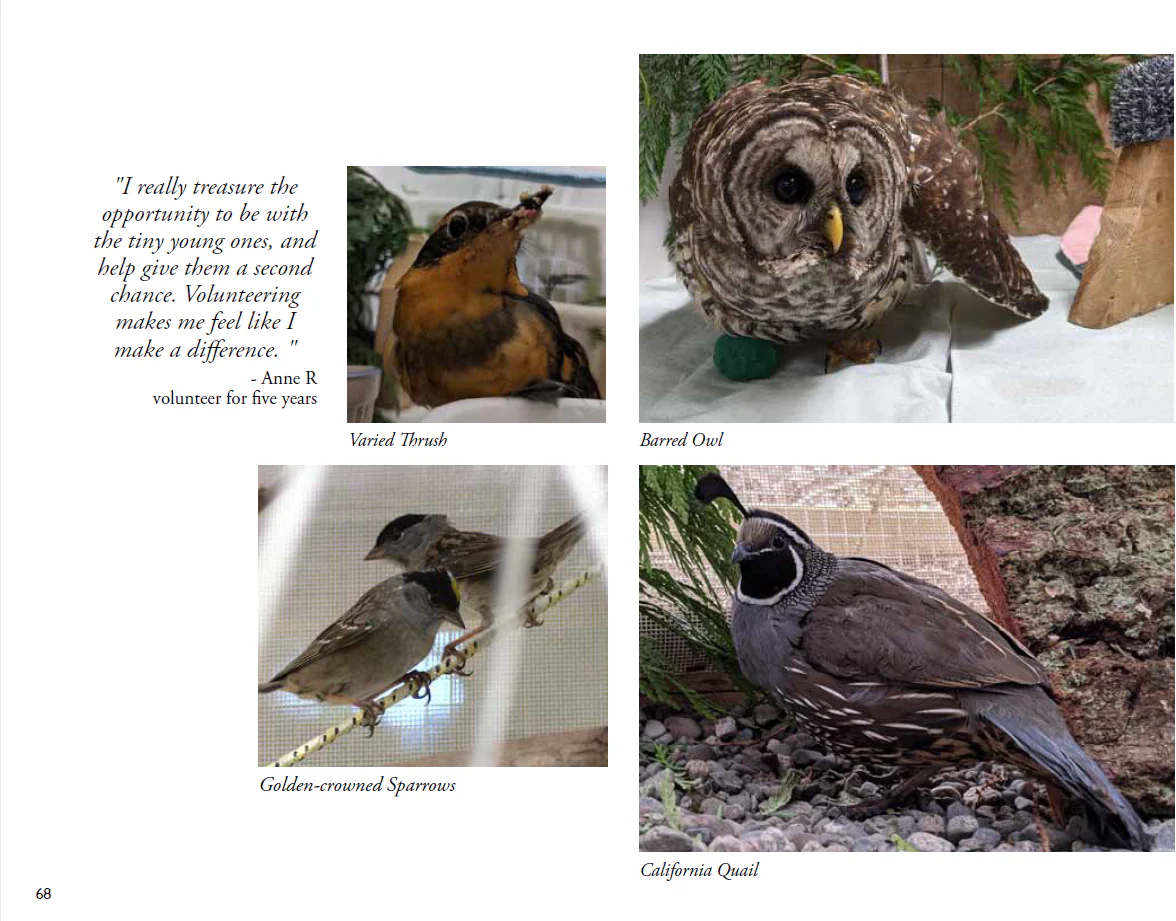 For the Love of Wildlife - Photo Book - Image 5