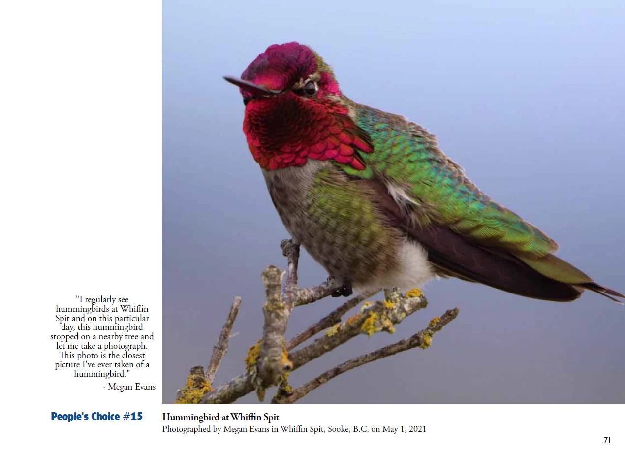 For the Love of Wildlife - Photo Book - Image 7