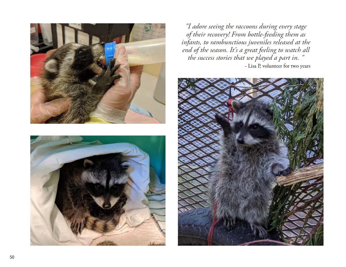 For the Love of Wildlife - Photo Book - Image 8