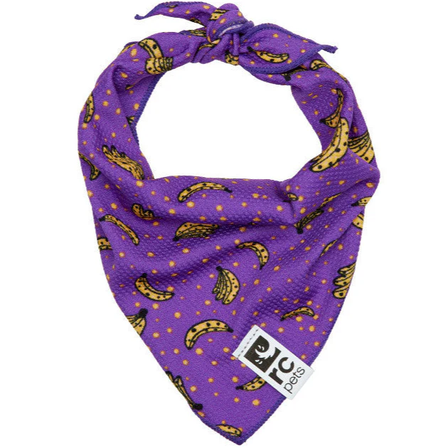 Zephyr Cooling Bandana - Image 3