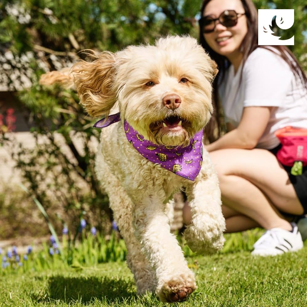 Zephyr Cooling Bandana - Image 5