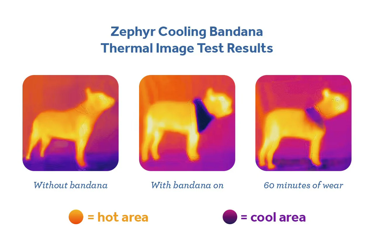 Zephyr Cooling Bandana - Image 9