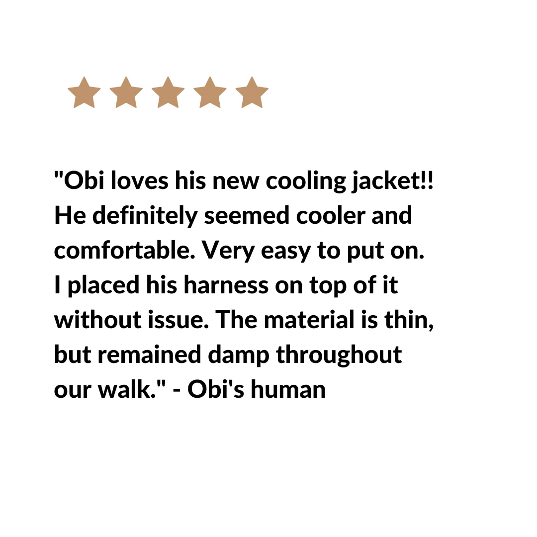 Zephyr Cooling Dog Vest - Image 7